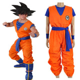 Dragon ball Z - Goku Gi cosplay